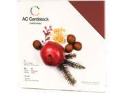 Alvin AC71257 12 in. x 12 in. American Crafts 60 Sheet Cardstock Pack Winter