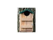 Looker Cedar Screech Owl House Green House