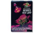 Zoo Med Laboratories Nocturnal Infrared Heat Lamp 75 Watt RS 75