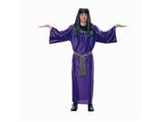 RG Costumes 80144 Pharoah Costume Size Adult Standard