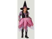 Costumes For All Occasions FW5802LG Witch Wonderful 12 To 14