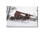Clydesdales Snowing in front of Barn 16x24 Canvas