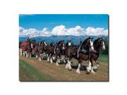 Clydesdales in Blue Sky Mountains 24 x 32Canvas