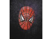 Costumes For All Occasions Ta246 Spiderman Vinyl Mask