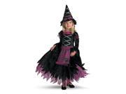Costumes For All Occasions Dg3216S Fairy Tale Witch 2T