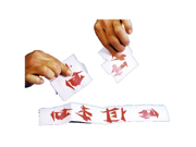 Costumes For All Occasions LA01 Chinese Laundry Tickets