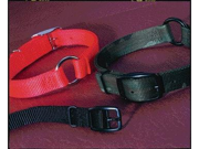 Hamilton Pet Company Safe rite Dog Collar With Tape Orange 1 X 24 SR TAPE 24 OR