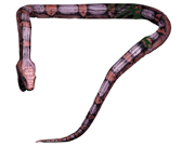 Costumes For All Occasions DU1128 Giant Snake