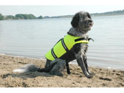 Paws Aboard PAW1500 Doggy Life Jacket Yellow L