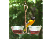 Songbird Essentials SEHHJELY Two Cup Jelly Feeder