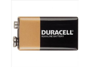 Coppertop Alkaline Batteries With Duralock Power Preserve Technology