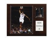 C I Collectables 1215IGUOD NBA Andre Iguodala Philadelphia 76ers Player Plaque