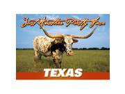 Bulk Buys Texas Postcard 12512 Another Pretty Face Case of 750