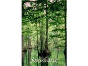 Bulk Buys Louisiana Postcard 13207 Swamp Case of 750
