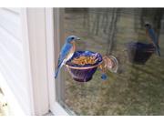 Songbird Essentials SEHHBBWF Copper Bluebird Mealworm Window Feeder
