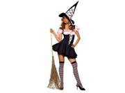 Costumes for all Occasions UA83169LG Witch Pink And Black Large