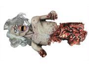 Costumes for all Occasions DU2620 Die Zombie Die Animated