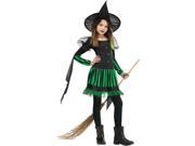 Costumes for all Occasions FW123362LG Wicked Witch Chld Lg 12 14