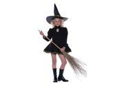 Costumes For All Occasions UR29045MD Totally Wicked Adult Medium