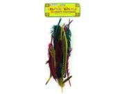 Bulk Buys CC273 48 5 To 8 Craft Feathers In a Poly Bag Case of 48