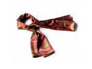 Blancho Bedding BRA SCA01059 L Blancho Brown Chic Paisley Stripes Design Fashion Soft Silk Scarf Wrap ShawlLarge