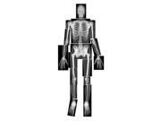 Roylco Inc. R 5911 True To Life Human X Rays