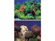 Penn Plax DB5 Amazon Waters II Coral Reef