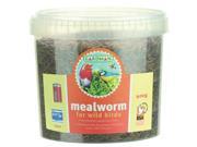World Source Partners Mealworms Tub 2 Pound 10oz BA04518