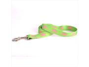 Yellow Dog Design GPS104LD 3 8 in. x 60 in. Green and Pink Skulls Lead