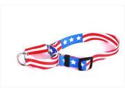 Yellow Dog Design M AA103L Americana Martingale Collar Large