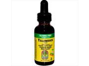 Natures Answer Yellowdock Root 1 Fl Oz