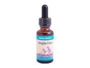 Herbs For Kids Herbs For Kids Astragalus Extract 1 Fl Oz 1 Oz