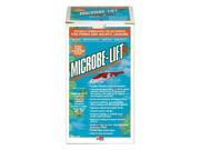 Eco Labs ECL10PLQ Microbe Lift PL Bacteria for Watergardens Quart