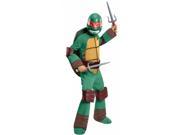 Costumes for all Occasions RU886762SM Tmnt Raphael Delx Child Sm