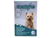 Bayer ADVANTAGE6 TEAL Advantage 6 Pack Dog 11 22 Lbs. Teal