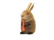 Brushart BRUSH74L Rabbit Colored 10 inch