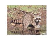 Delta Sports Products 7486 No. 106 Raccoon Target