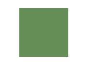 Chartpak AP30 BX AD Art Marker Nile Green
