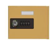 Salsbury 19951C GLD Replacement Door With Resettable Combination Lock Standard A Size For Cell Phone Locker Gold