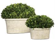 Uttermost 60107 Uttermost Oval Domes Preserved Boxwood Set 2