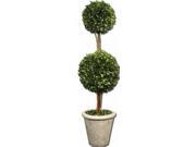 Uttermost 60106 Uttermost Two Sphere Topiary Preserved Boxwood