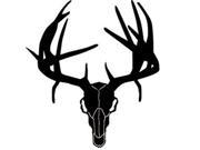Western Recreation Ind 9308 Buck Skull with Drop Tines 6X6