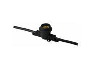 American Lighting LS M 24 48 BK Medium base light string Black 24 in. on center 48 Foot length with 6 foot cord and plug
