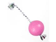 Pink Romp n Roll Ball Pet Ball Large