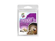 American Educational Products 2968 Explore With Me Geology Oceanic Fossils
