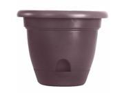 Bloem LP1256 Bloem 12 in. Lucca Planter Exotica LP1256