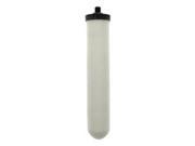 Commercial Water Distributing DOULTON W9122021 SuperCarb Replacement Element