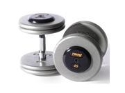 Troy Barbell HFD 005 100R Pro Style Dumbbells Set Gray Plates And Rubber End Caps One Pair Each 5 100 Pounds