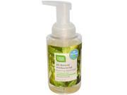 Cleanwell 0460196 All Natural Antibacterial Foaming Hand Wash Spearmint Lime 9.5 fl oz
