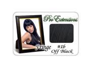 Brybelly Holdings PRFR 1b No. 1b Off Black Pro Fringe Clip In Bangs